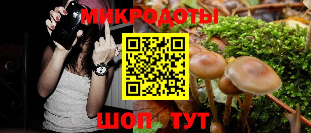 Галлюциногенные грибы GOLDEN TEACHER Зеленокумск