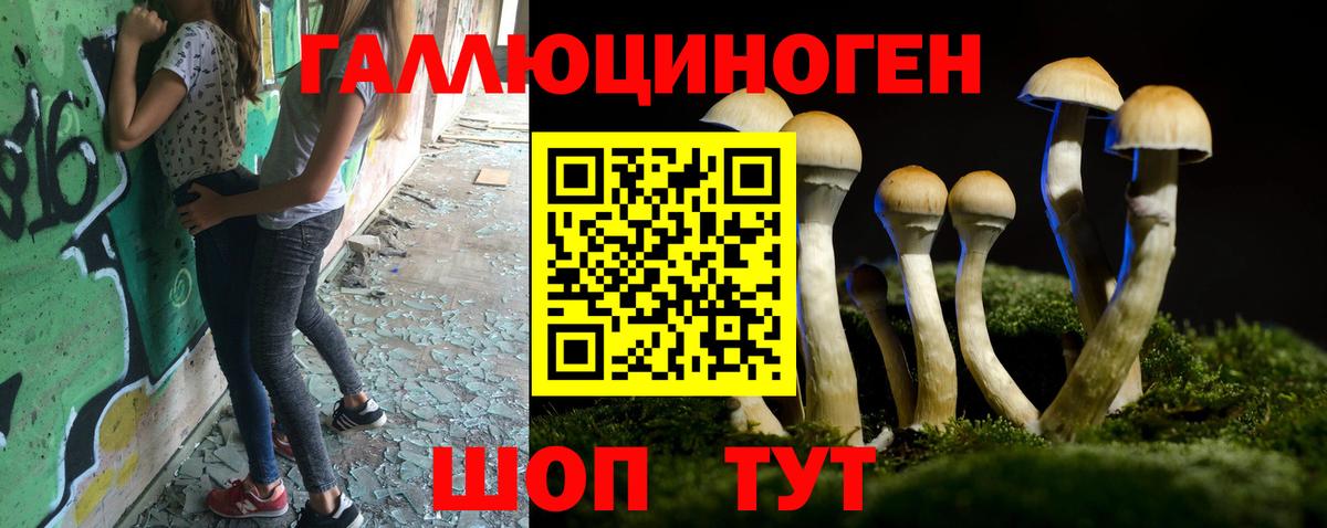 Галлюциногенные грибы MAGIC MUSHROOMS  Вход с VPN  Зеленокумск 